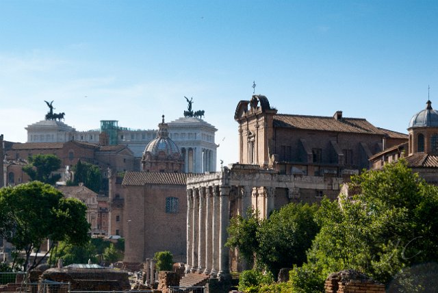 0532Foro Romano.jpg - SONY DSC